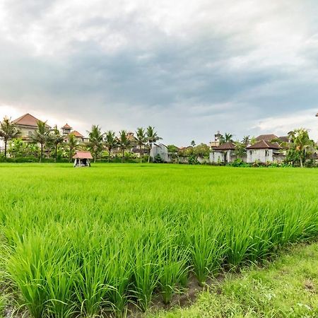 Hotel Juli House By Mahaputra Ubud Zewnętrze zdjęcie