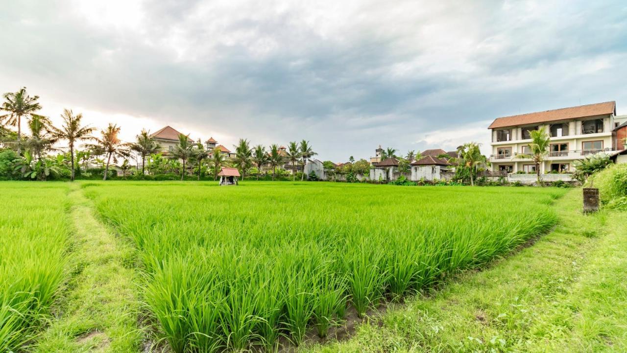 Hotel Juli House By Mahaputra Ubud Zewnętrze zdjęcie